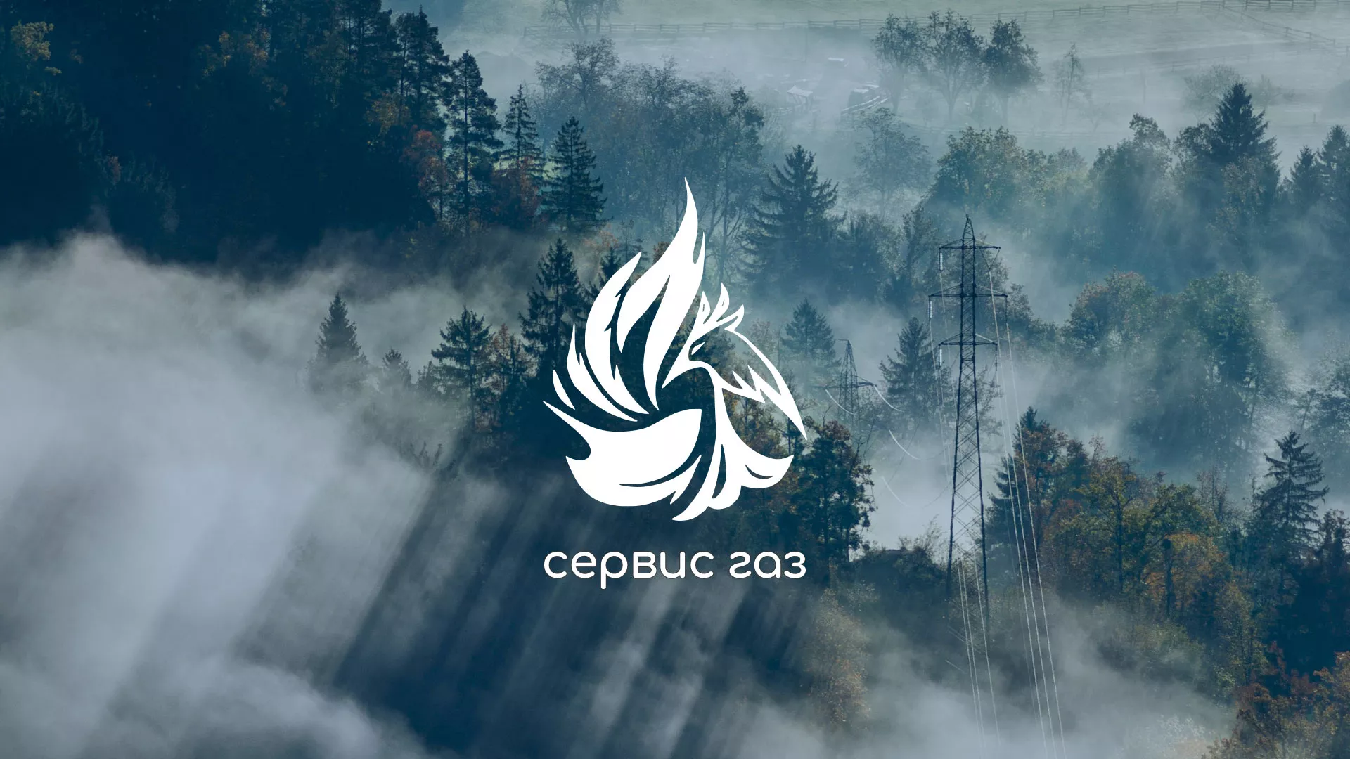 Создание сайта компании «Сервис газ» в Кинешме