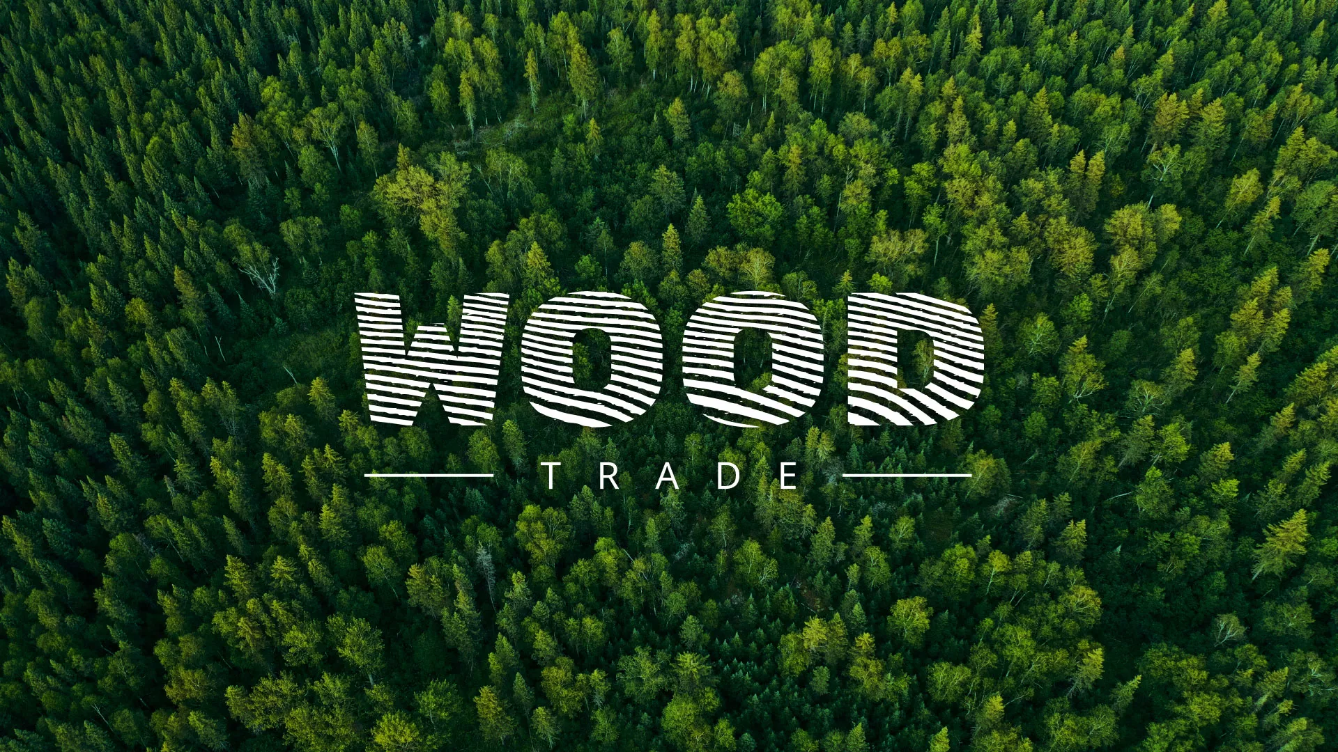 Разработка интернет-магазина компании «Wood Trade» в Кинешме