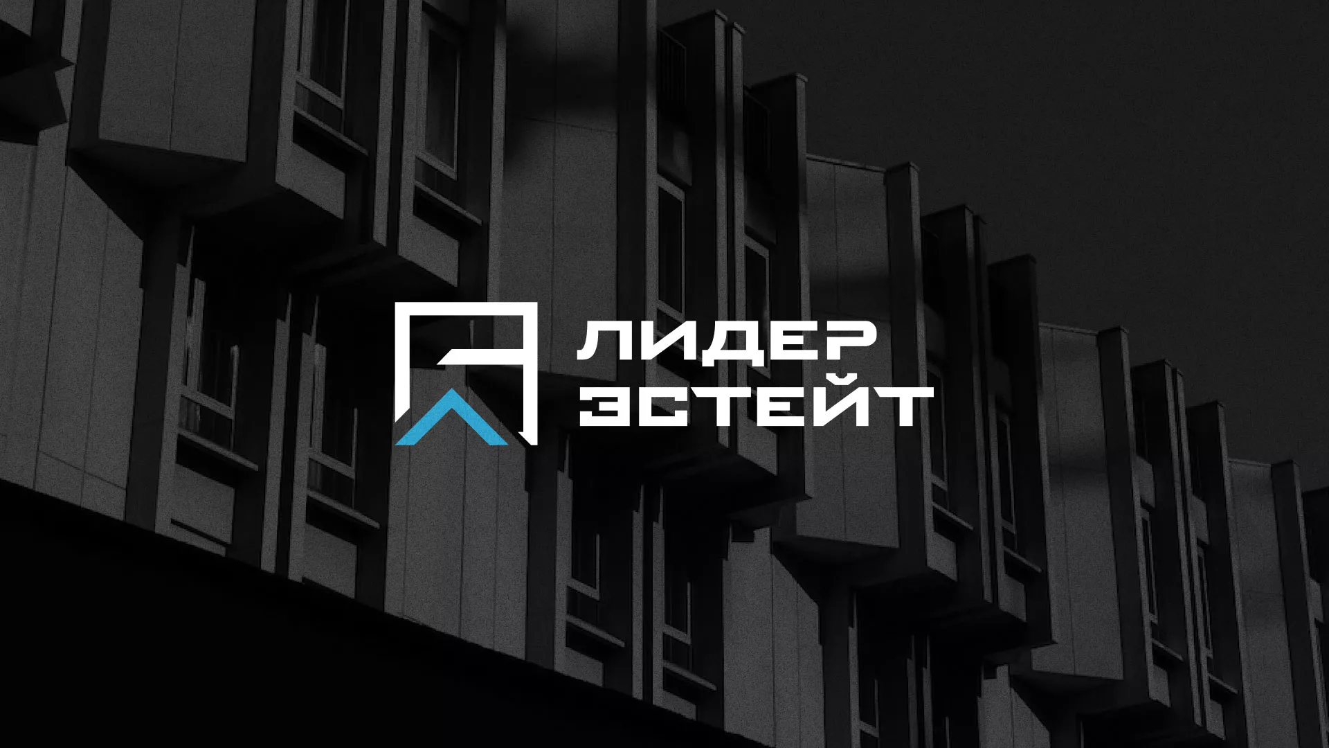 Разработка логотипа агентства недвижимости «Лидер Эстейт» в Кинешме